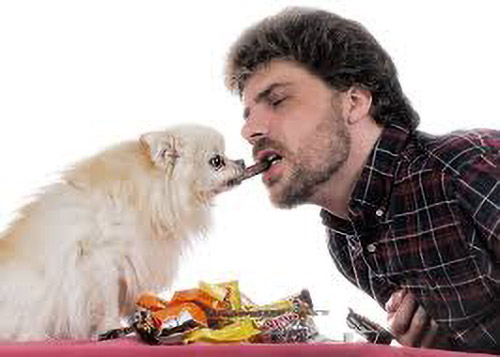 photo of dog sharing food with human
