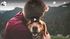 video dogs who bite