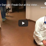 Dr. Nichol’s Video – Stranger Danger: Freak-Out at the Veterinary Clinic