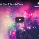 Dr. Nichol’s Video – Fireworks Fear & Sweaty Paws