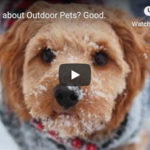 Dr. Nichol’s Video – Worried about Outdoor Pets? Good.