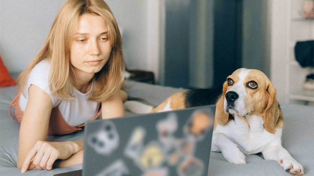 Woman at computer with dog