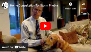 storm phobia video thumbnail