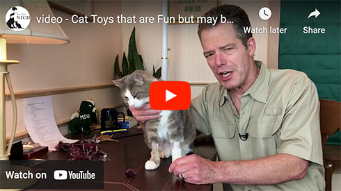 cat toys video