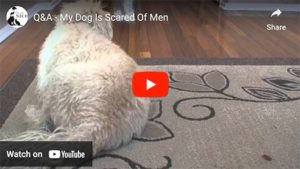 dog scared of men video