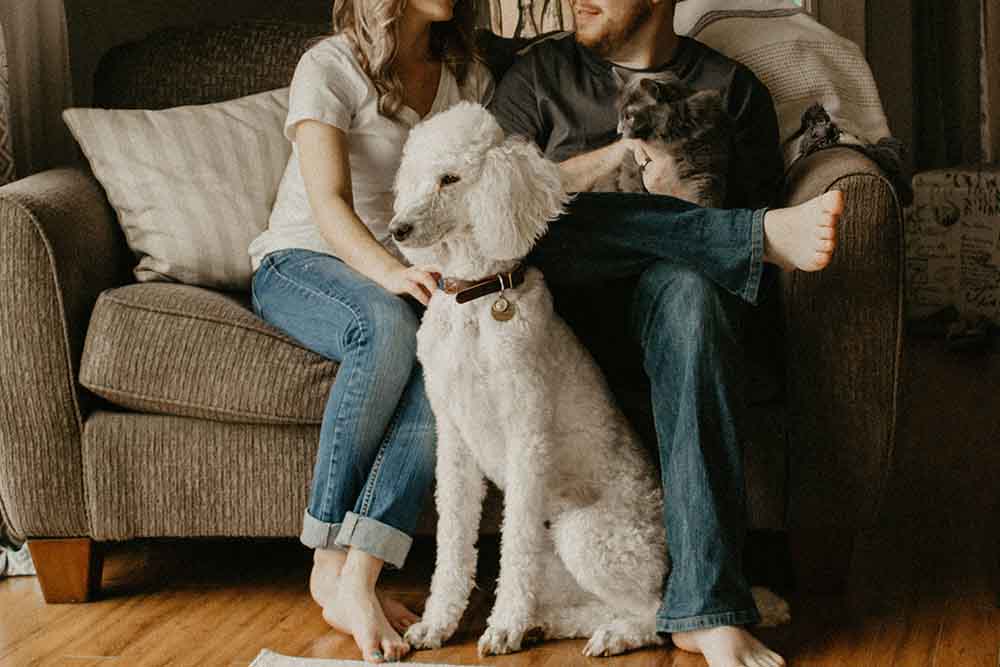 dog and cat with family