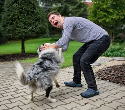 man playing with dog