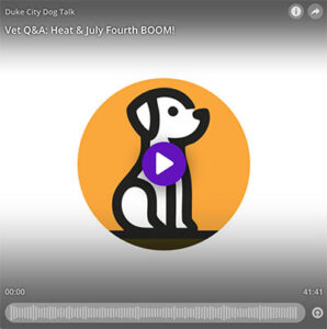 VetQandA