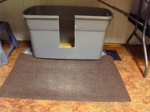 litter box