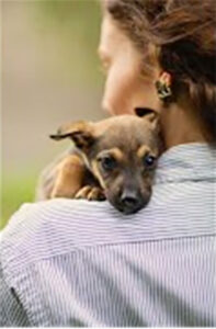 woman with dog